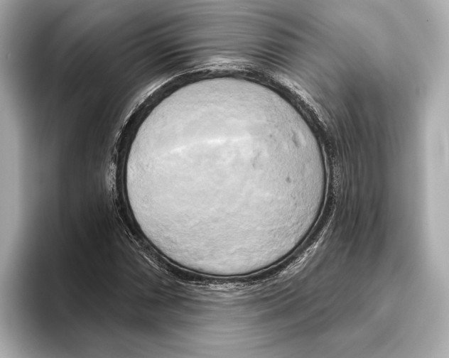 X0000095681066200802051246