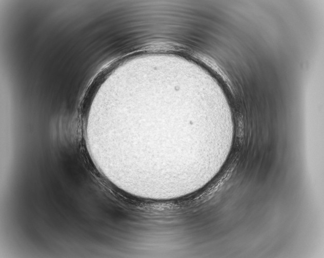 X0000095681067200802051246