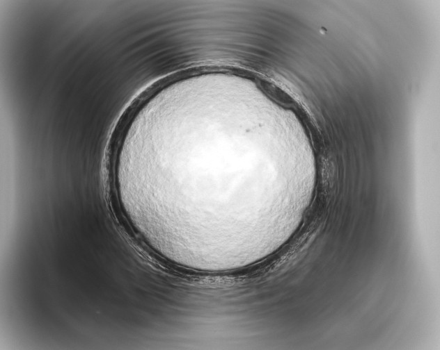 X0000095681068200802051246