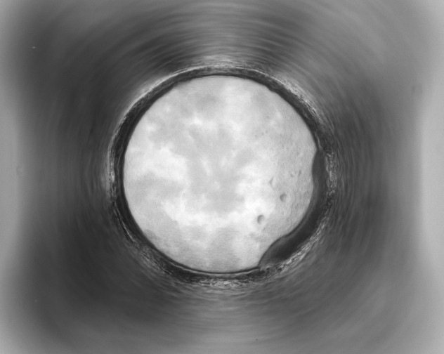 X0000095681070200802051246