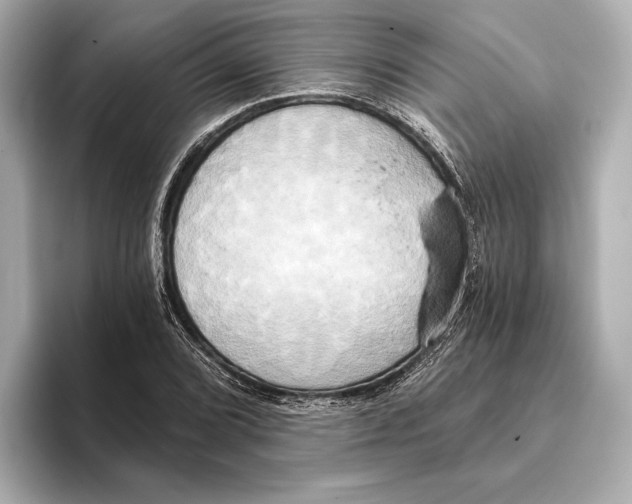 X0000095681072200802051246