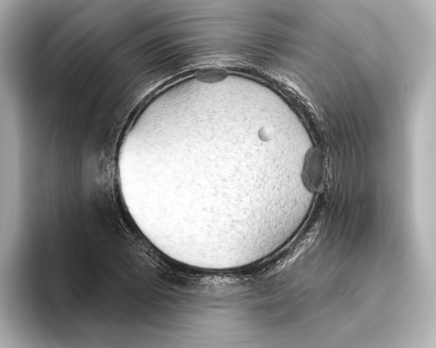 X0000095681073200802051246