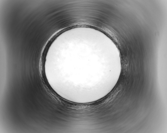 X0000095681076200802051246