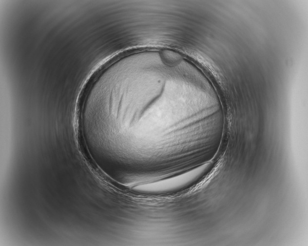 X0000095681077200802051246