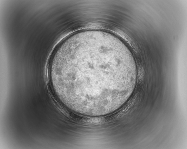 X0000095681078200802051246