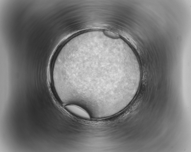 X0000095681080200802051246