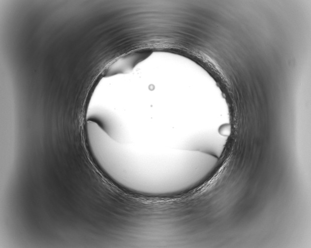 X0000095681081200802051246