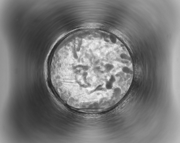 X0000095681083200802051246