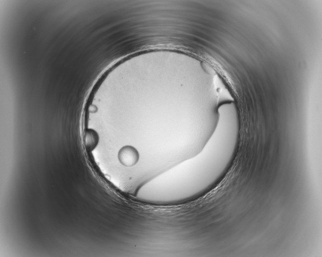 X0000095681084200802051246