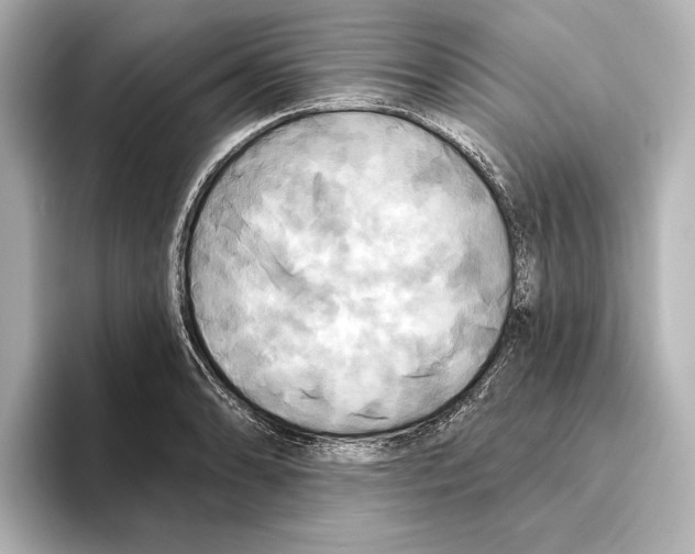 X0000095681086200802051246