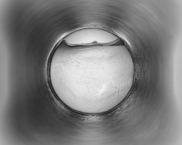 X0000095681087200802051246