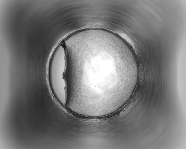 X0000095681088200802051246