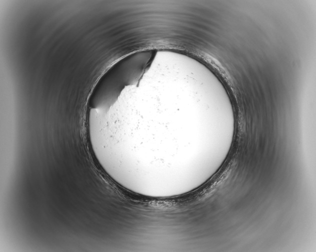 X0000095681089200802051246