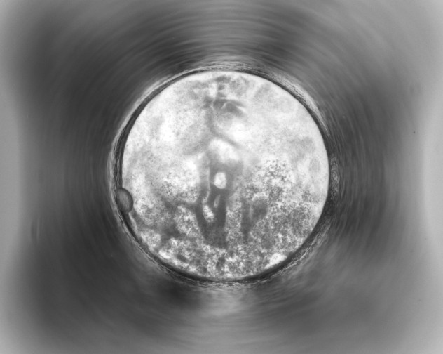 X0000095681091200802051246