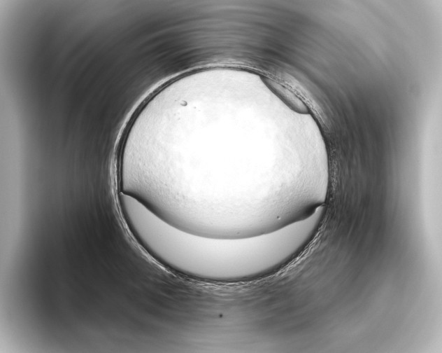 X0000095681092200802051246