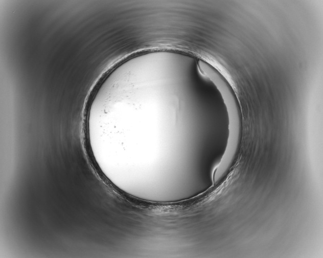 X0000095681093200802051246