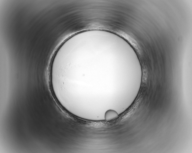 X0000095681094200802051246