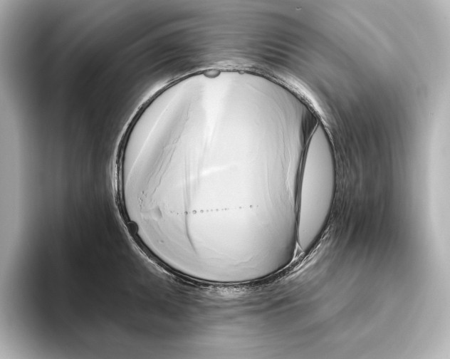 X0000095681095200802051246