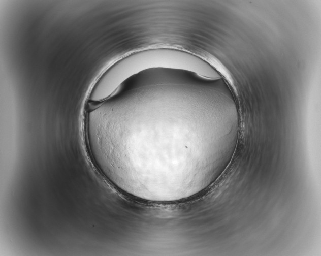 X0000095681096200802051246