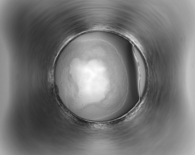 X0000095681097200802051246