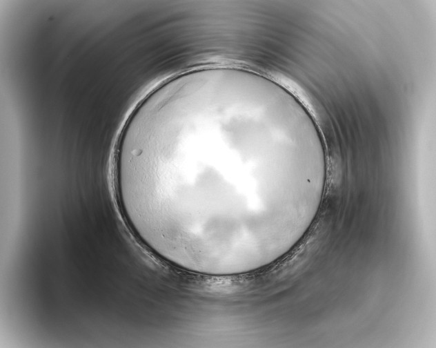 X0000095681098200802051246