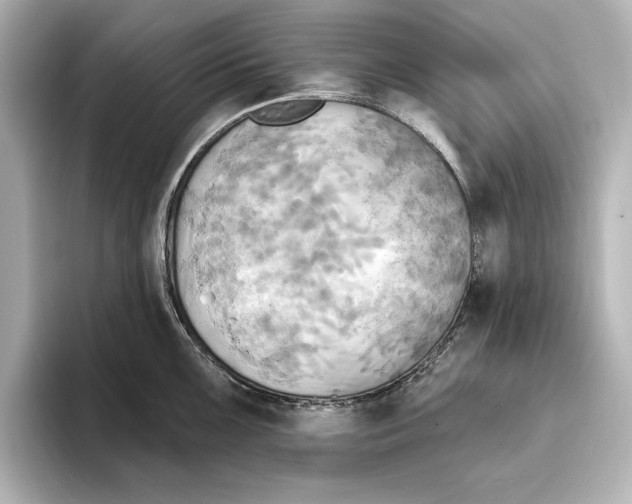 X0000095681099200802051246