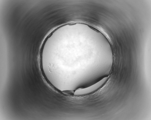 X0000095681100200802051246