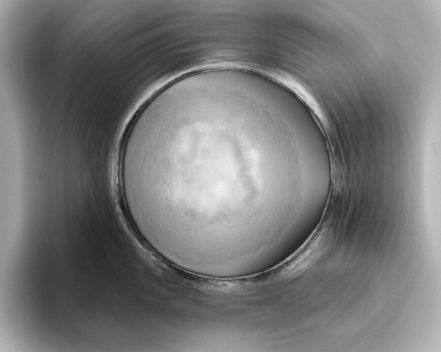 X0000095681101200802051246