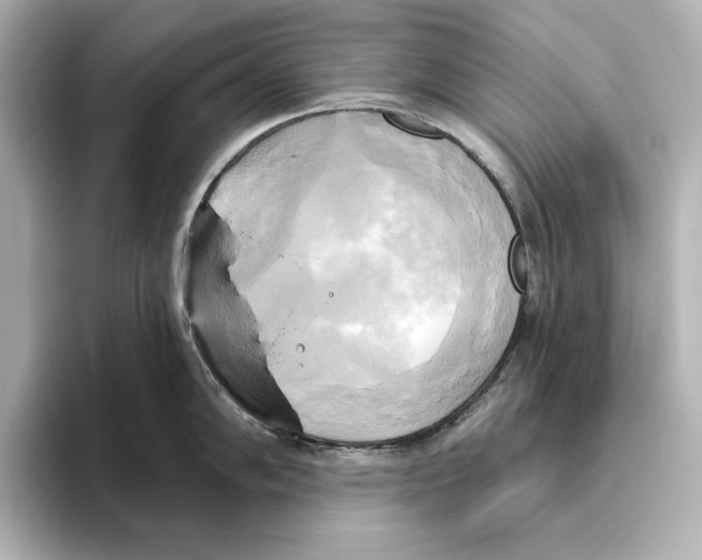 X0000095681102200802051246