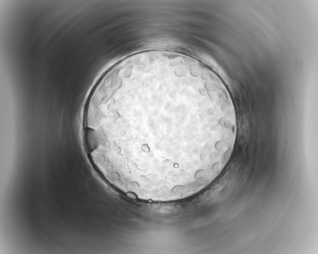 X0000095681103200802051246