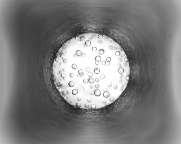 X0000095681105200802051245