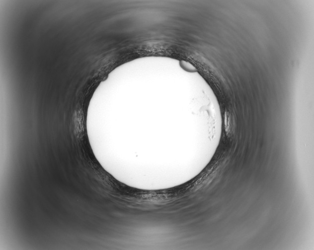 X0000095681107200802051245