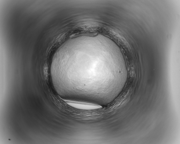 X0000095681108200802051245