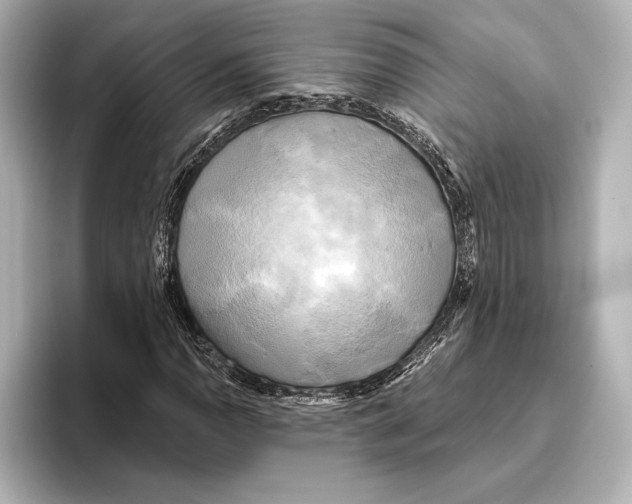 X0000095681110200802051245