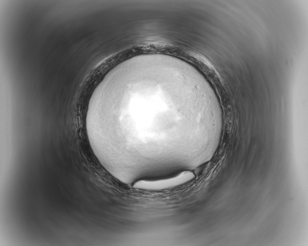 X0000095681112200802051245