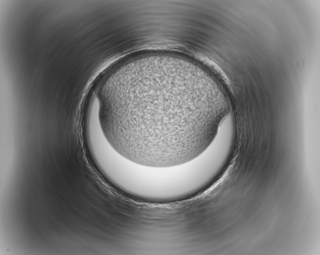 X0000095681114200802051245