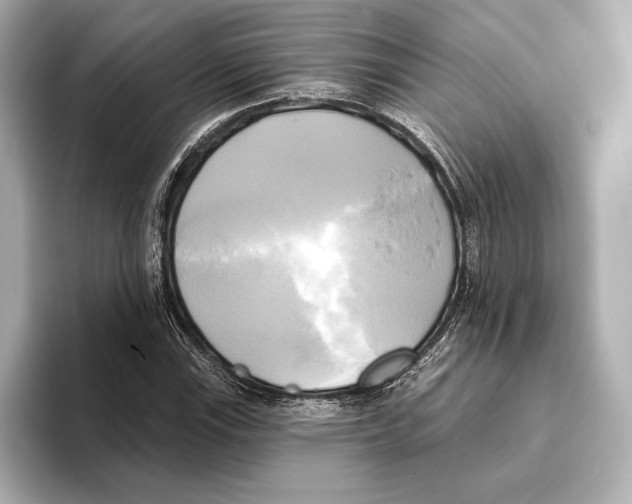 X0000095681115200802051245