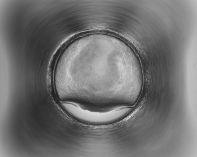 X0000095681118200802051245