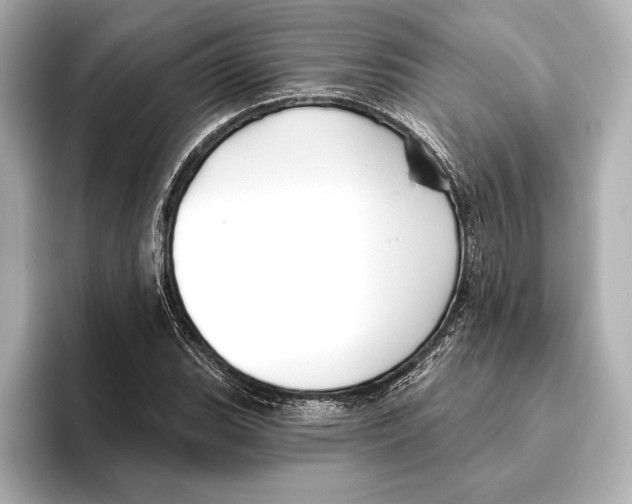 X0000095681119200802051245