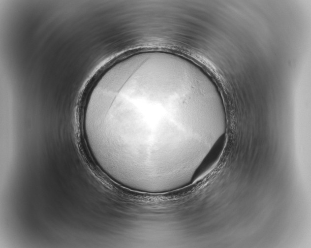 X0000095681120200802051245