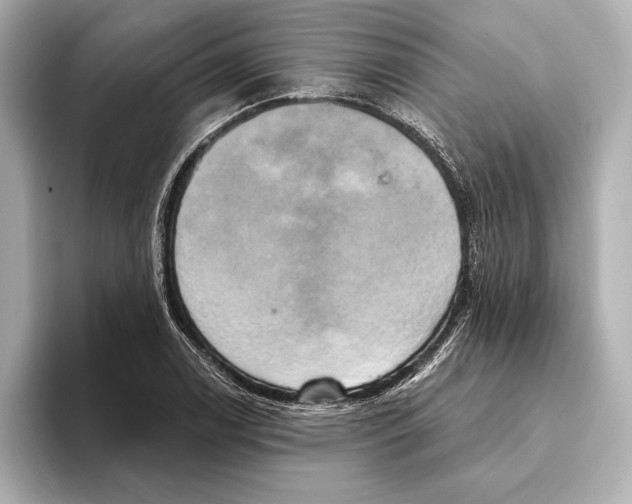 X0000095681122200802051245