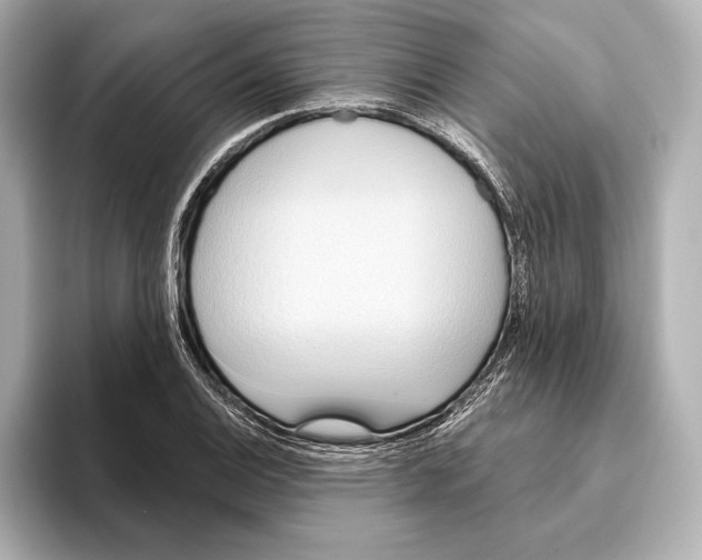 X0000095681124200802051245