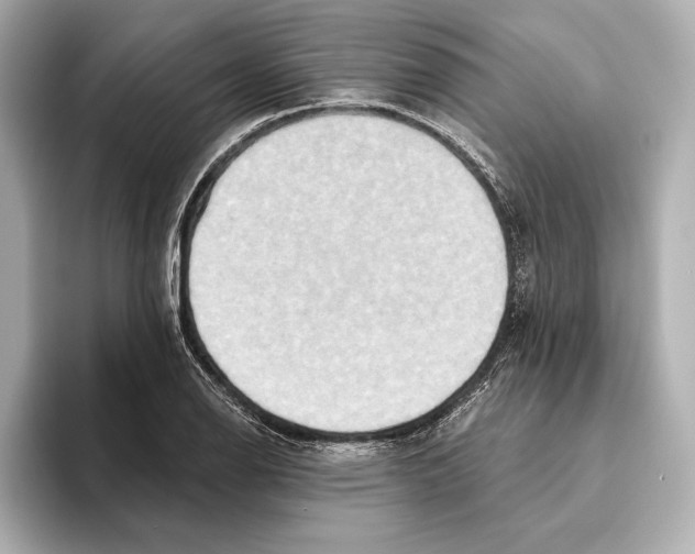 X0000095681126200802051245