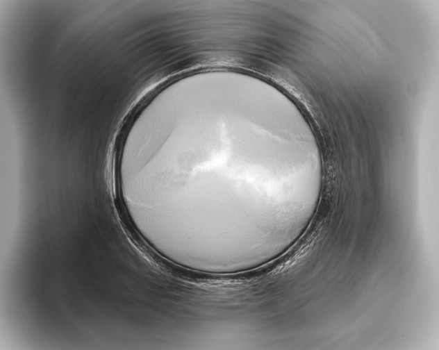 X0000095681127200802051245