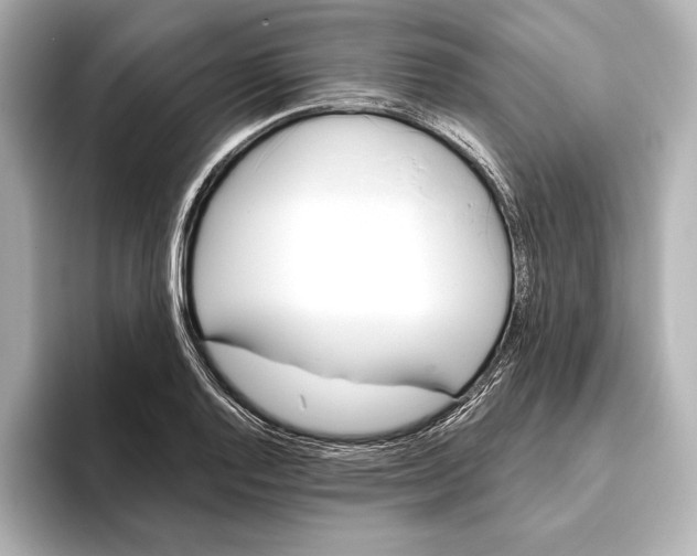 X0000095681128200802051245