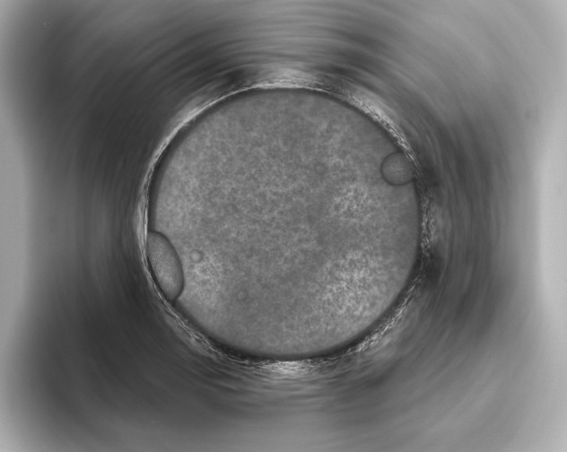 X0000095681130200802051245