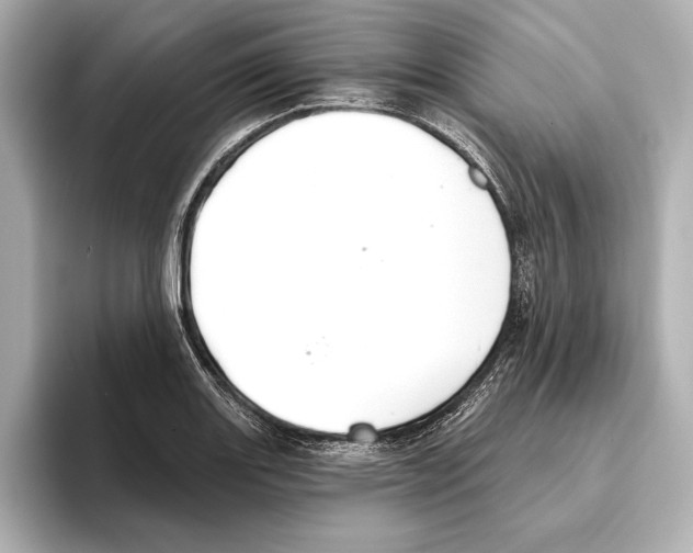 X0000095681131200802051245