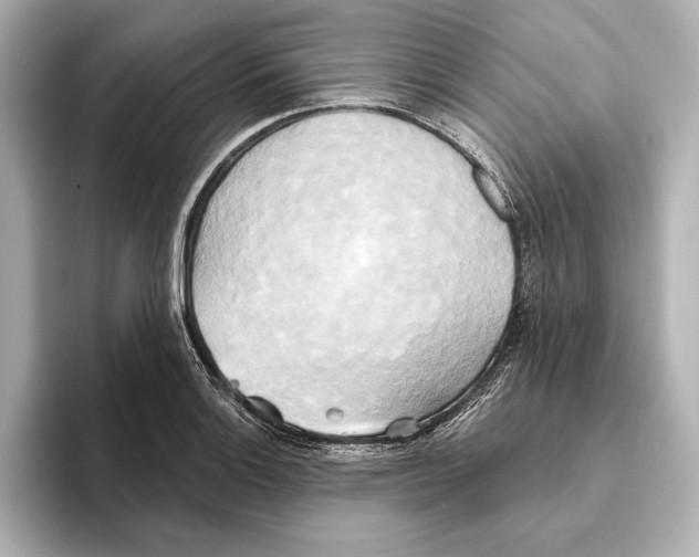 X0000095681132200802051245