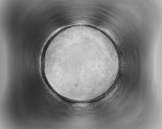 X0000095681134200802051245