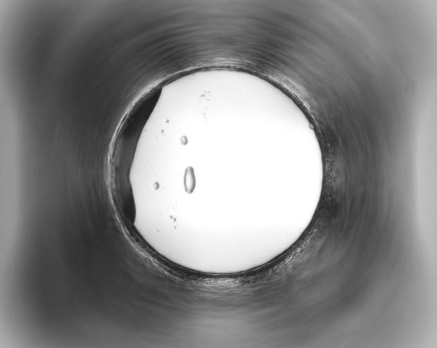 X0000095681135200802051245